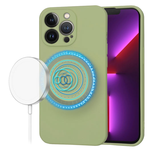 MagSafe Case for Apple iPhone 13 Pro, Techsuit, SoftFlex, Matcha