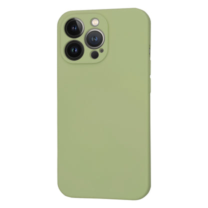 MagSafe Case for Apple iPhone 13 Pro, Techsuit, SoftFlex, Matcha